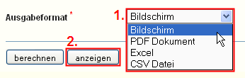 _images/statistik_formular_select_ausgabeformat.png